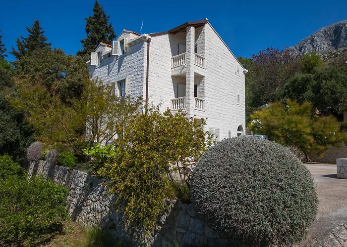 Silence * מליני